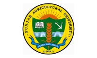 Punjab Agriculture University